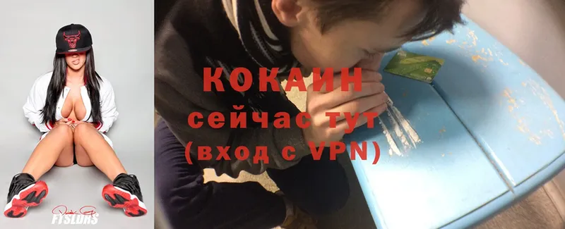 COCAIN Боливия Городец